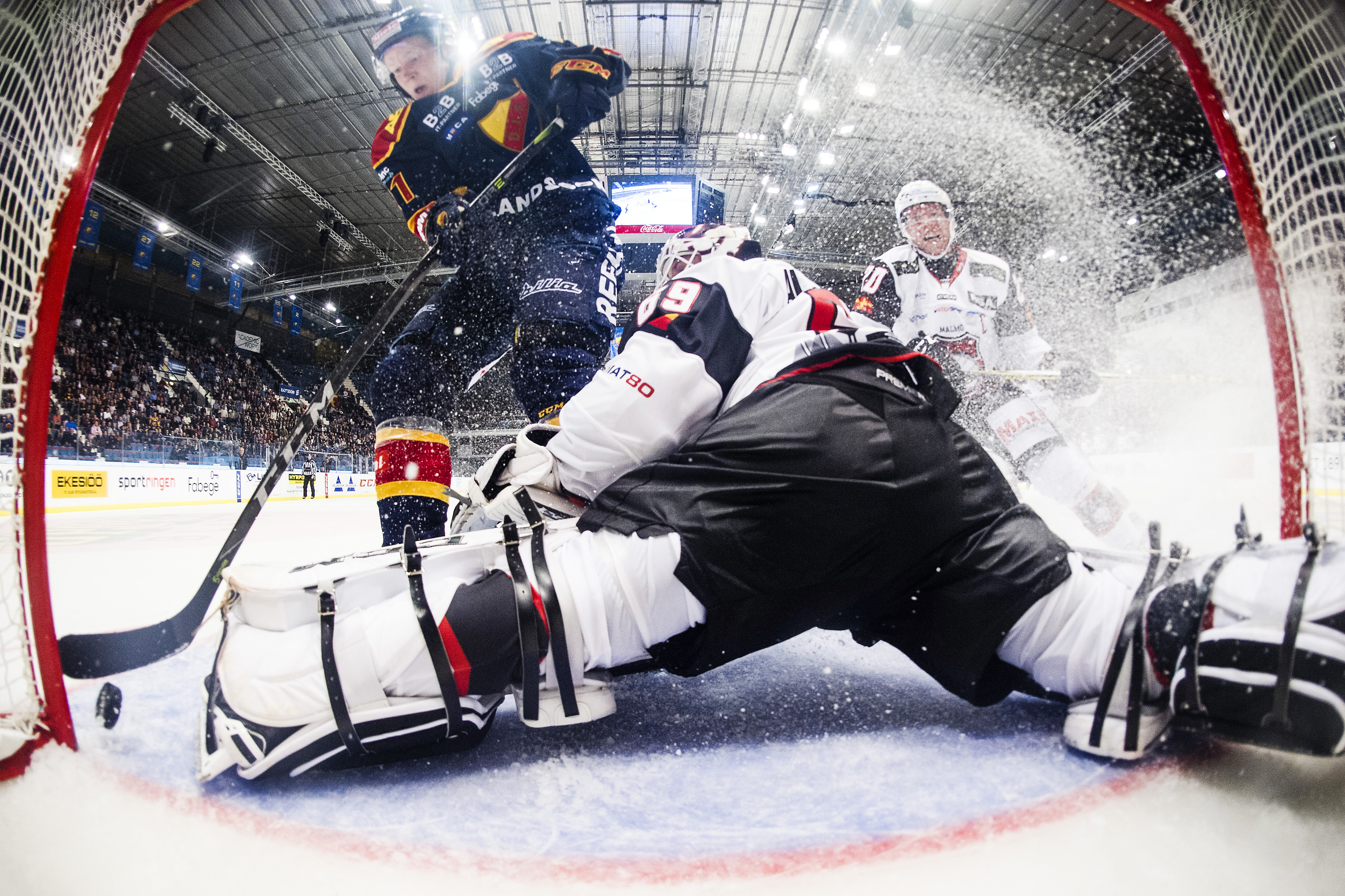 Djurgården Hockey: Tillbaka i Djurgården – blev hjälte på Hovet
